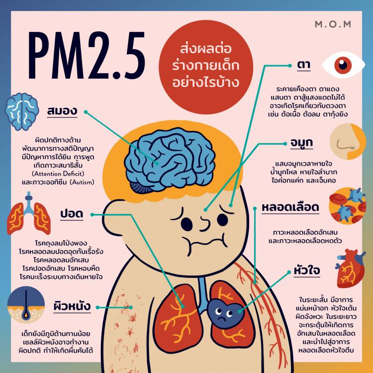 PM 2.5 �觼ŵ�������ҧ�ú�ҧ